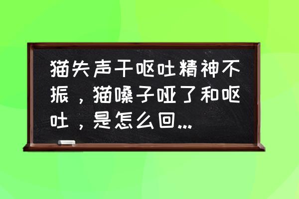 猫喉咙卡异物了应该怎么办 猫失声干呕吐精神不振，猫嗓子哑了和呕吐，是怎么回事？怎么会这样啊？