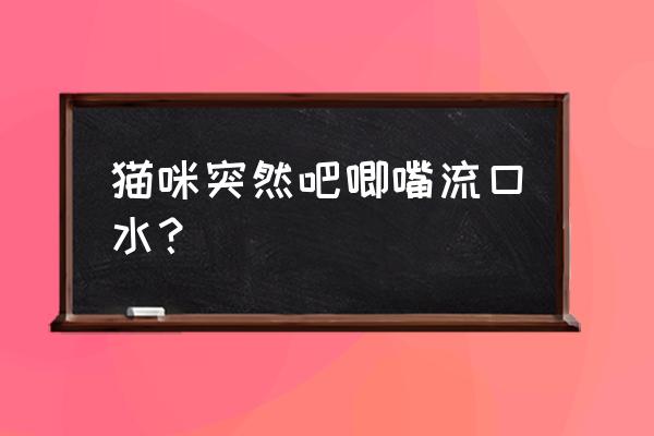 猫一直舔嘴巴做吞咽动作边流口水 猫咪突然吧唧嘴流口水？