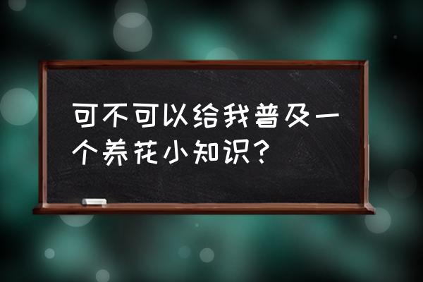 新手养花四种基础知识 可不可以给我普及一个养花小知识？