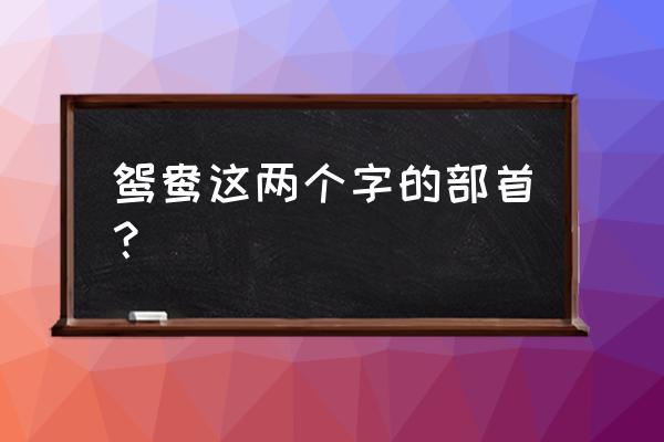 紫怎么查字典偏旁 鸳鸯这两个字的部首？