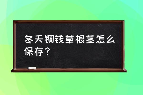 冬天室外水培铜钱草怎么处理 冬天铜钱草根茎怎么保存？