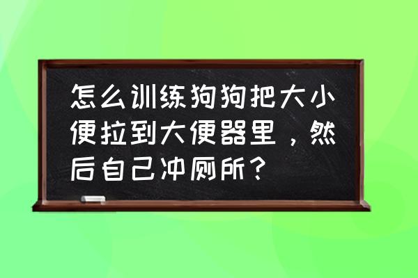 狗狗拉屎训练 怎么训练狗狗把大小便拉到大便器里，然后自己冲厕所？