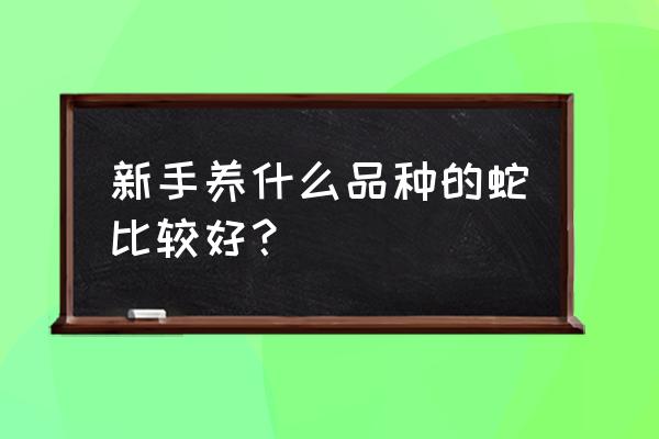 适合新手养的耐活爬藤植物 新手养什么品种的蛇比较好？