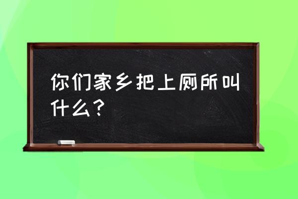 怎么训练独立上厕所 你们家乡把上厕所叫什么？