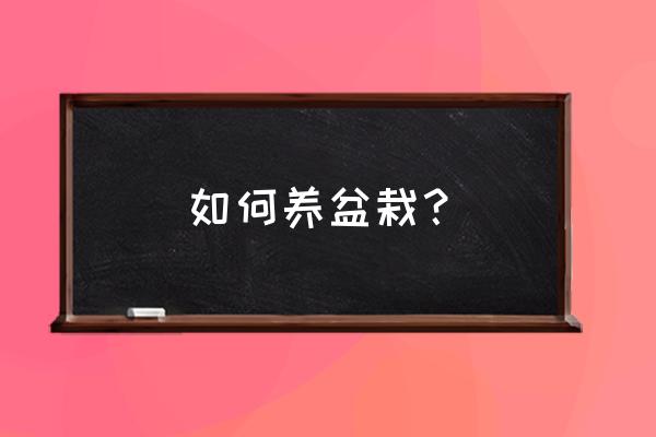 养宠物的正确方法和技巧 如何养盆栽？