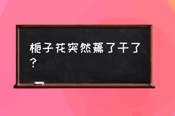 栀子花蔫了补救及养护方法 栀子花突然蔫了干了？