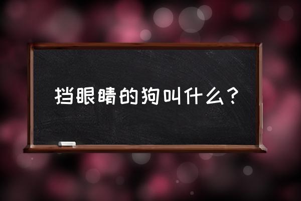 西施犬美容修剪毛发的方法教程 挡眼睛的狗叫什么？