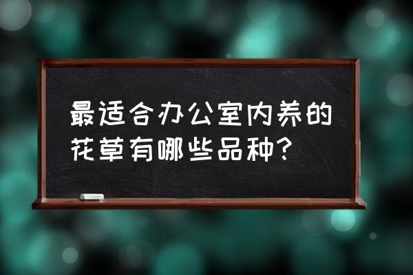 办公室适合放的十大植物 最适合办公室内养的花草有哪些品种？