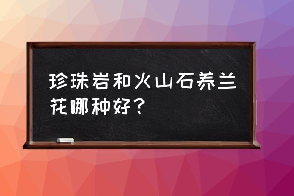 兰花铺面用火山岩和水苔哪个好 珍珠岩和火山石养兰花哪种好？