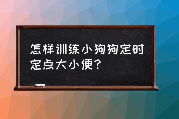 几个月后培养婴儿定时大小便 怎样训练小狗狗定时定点大小便？