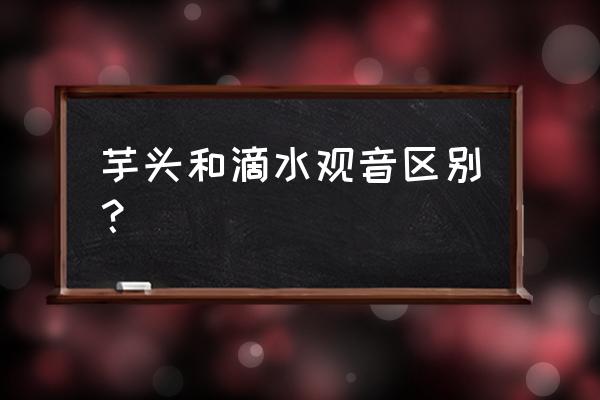 和滴水观音叶子接近的是什么花 芋头和滴水观音区别？