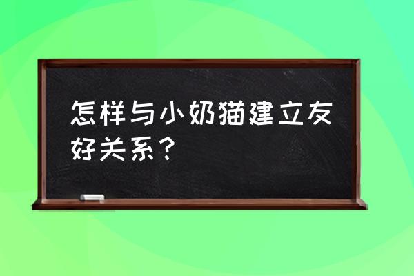 没开眼小奶猫如何除跳蚤 怎样与小奶猫建立友好关系？