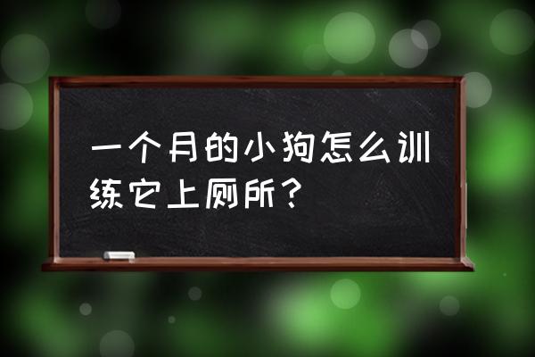 第一天来的小狗怎么引导上厕所 一个月的小狗怎么训练它上厕所？