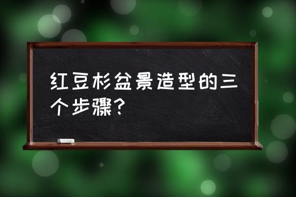 红豆杉盆景什么样的最好 红豆杉盆景造型的三个步骤？