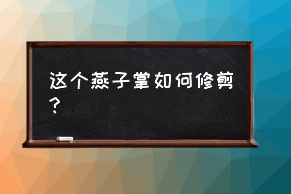 燕子掌和玉树图片对比 这个燕子掌如何修剪？