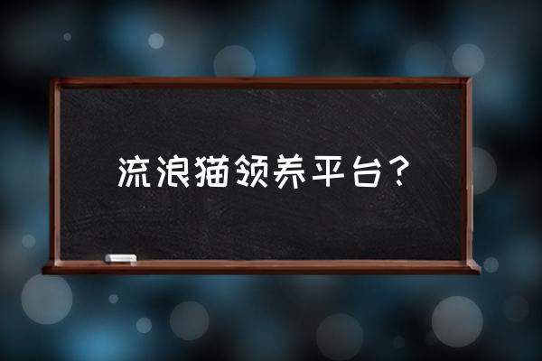 怎么在当地领养猫咪 流浪猫领养平台？