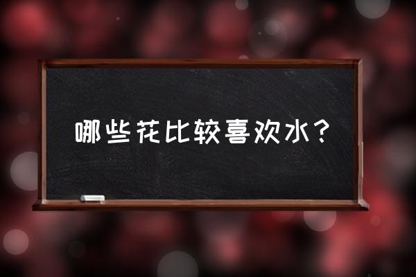 叶子有点像金边兰的室内盆栽 哪些花比较喜欢水？