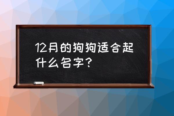 怎么才能知道狗狗的名字 12月的狗狗适合起什么名字？