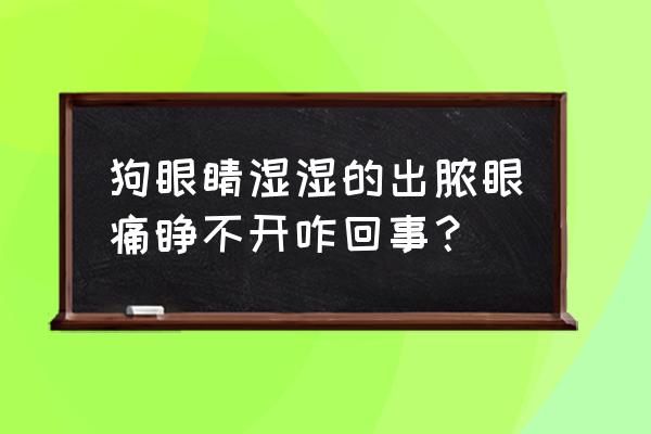 狗眼睑发炎红肿流脓怎么办 狗眼睛湿湿的出脓眼痛睁不开咋回事？