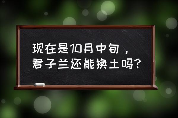 君子兰换土后怎么能快速生长 现在是10月中旬，君子兰还能换土吗？