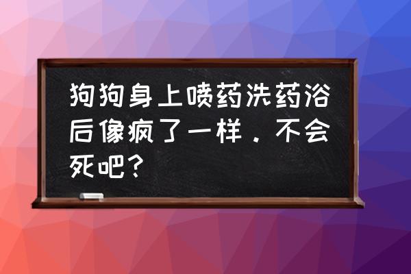 狗狗一般洗什么药浴好 狗狗身上喷药洗药浴后像疯了一样。不会死吧？