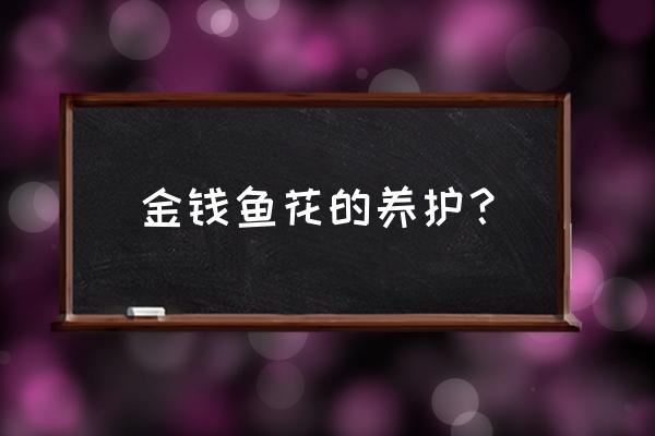 金鱼花的栽培方法和技术 金钱鱼花的养护？