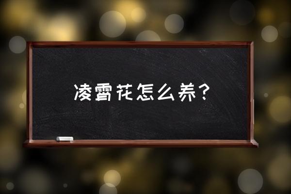 凌霄花树苗怎么养 凌霄花怎么养？