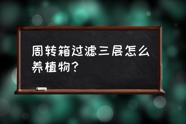 自制周转箱过滤 准备什么 周转箱过滤三层怎么养植物？