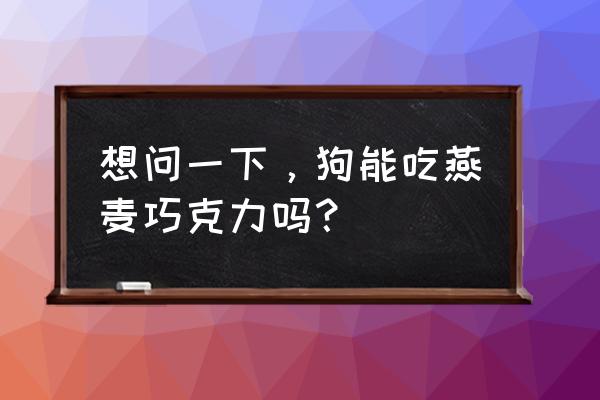 狗狗吃了巧克力燕麦怎么办 想问一下，狗能吃燕麦巧克力吗？