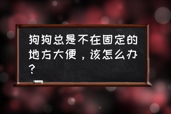 怎么教狗狗站起来转圈圈 狗狗总是不在固定的地方大便，该怎么办？