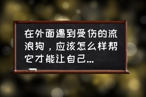 如何让狗狗总是走在你身后 在外面遇到受伤的流浪狗，应该怎么样帮它才能让自己不被它攻击呢？