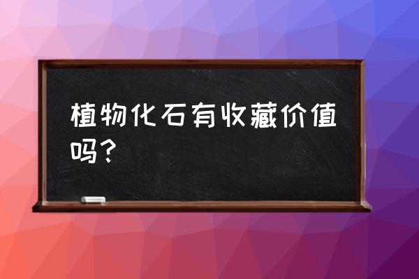 木化石为啥不值钱 植物化石有收藏价值吗？