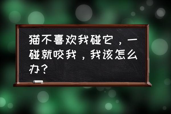 猫被狠打几次不亲近了咋办 猫不喜欢我碰它，一碰就咬我，我该怎么办？