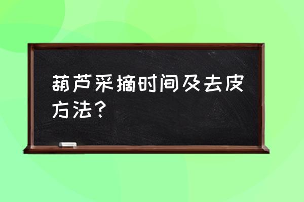 葫芦何时采摘最好 葫芦采摘时间及去皮方法？