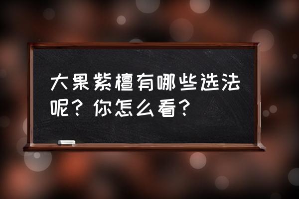 什么样的大果紫檀最好 大果紫檀有哪些选法呢？你怎么看？