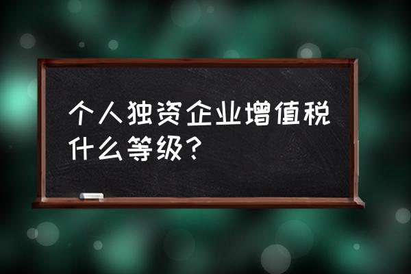 一般纳税人属于什么等级 个人独资企业增值税什么等级？