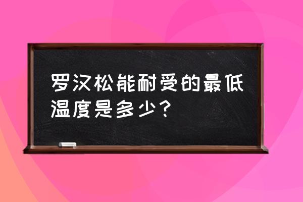 红珍珠罗汉松养殖方法和注意事项 罗汉松能耐受的最低温度是多少？