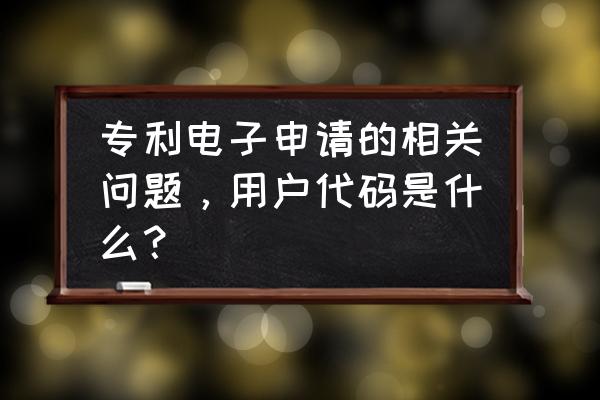 国家知识产权局发明专利申请官网 专利电子申请的相关问题，用户代码是什么？