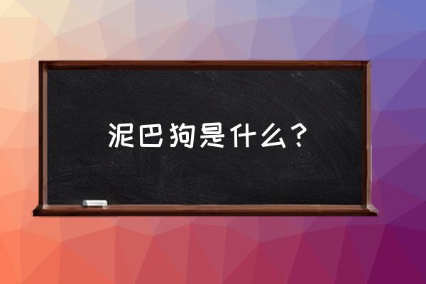 超轻粘土狗慢动作教程 泥巴狗是什么？