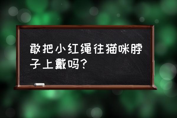 如何拿绳子套小猫 敢把小红绳往猫咪脖子上戴吗？