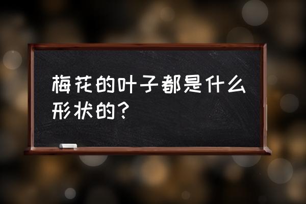 中国画梅花的叶子怎么画 梅花的叶子都是什么形状的？