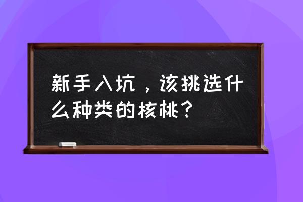 新手玩核桃的步骤 新手入坑，该挑选什么种类的核桃？