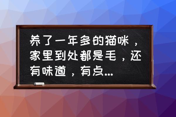 养猫整个房间有味道怎么办 养了一年多的猫咪，家里到处都是毛，还有味道，有点不想养了怎么办？