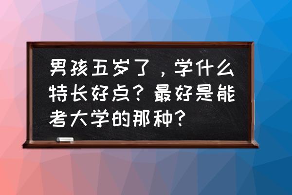 家有男孩的最好方法 男孩五岁了，学什么特长好点？最好是能考大学的那种？