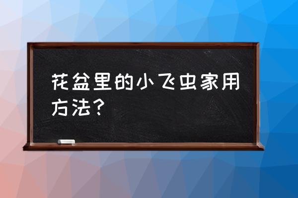 养花盆土里有小飞虫怎么办 花盆里的小飞虫家用方法？