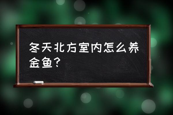 暖气里边的水可以养鱼吗 冬天北方室内怎么养金鱼？