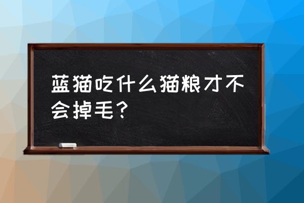 猫咪掉毛哪种猫粮比较好 蓝猫吃什么猫粮才不会掉毛？