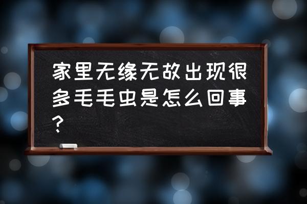 家里的毛虫是从哪里来的 家里无缘无故出现很多毛毛虫是怎么回事？