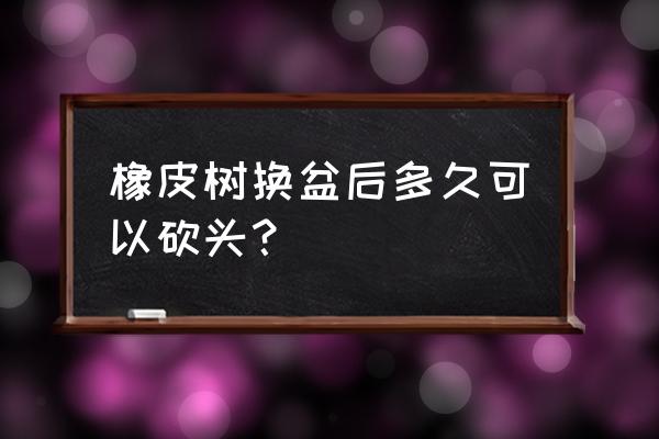 橡皮树什么时候砍头最合适 橡皮树换盆后多久可以砍头？