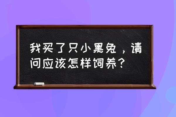 幼兔球虫药怎么喂 我买了只小黑兔，请问应该怎样饲养？